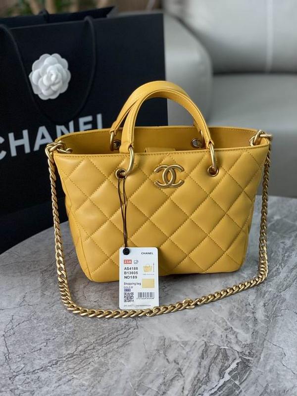 Chanel Handbags 213